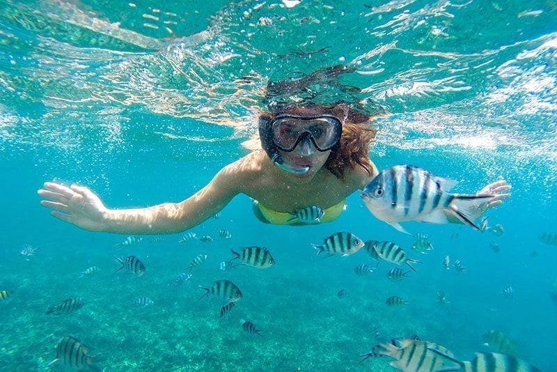 Woman snorkeling with striped fish.
